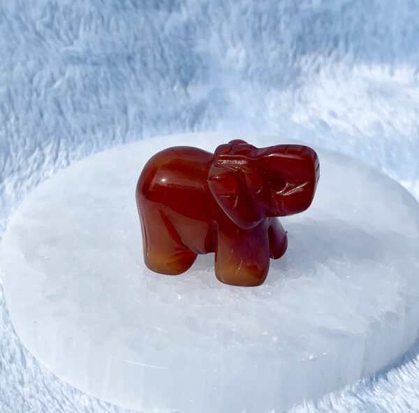 CUTE CARNELIAN CARVED ELEPHANT