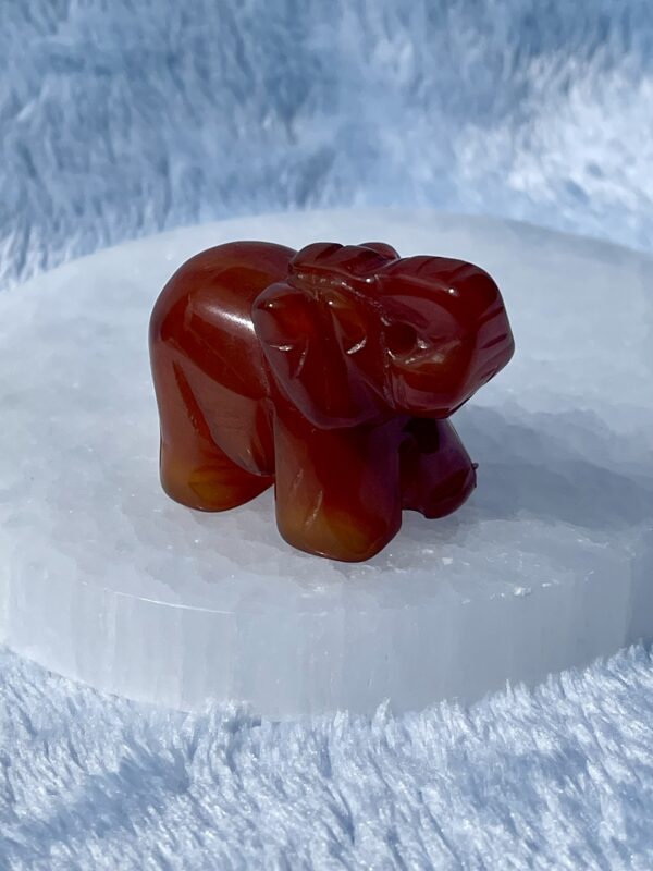 CUTE CARNELIAN CARVED ELEPHANT - Image 2