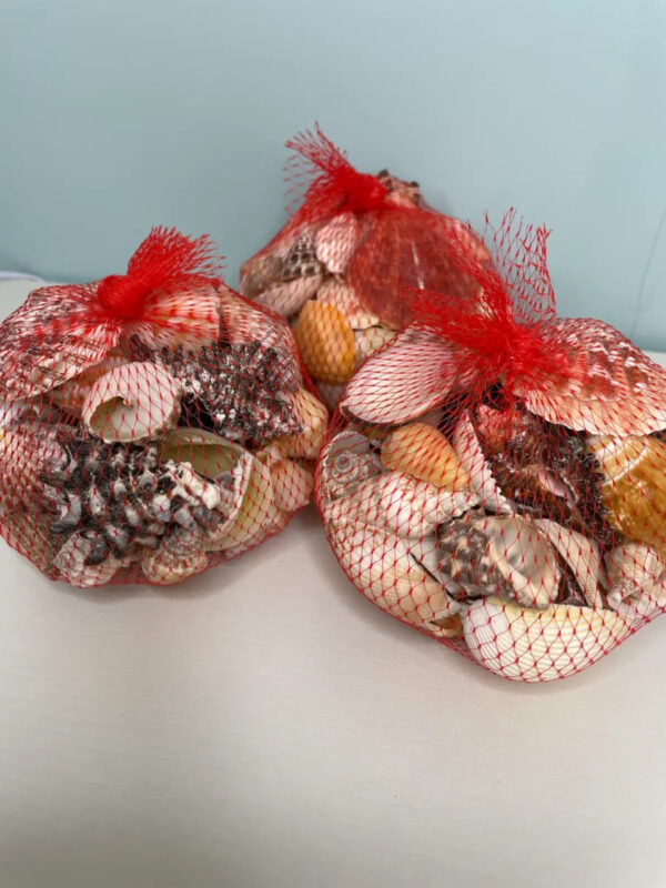 MIXED SEA SHELLS BAG 350G - Image 2