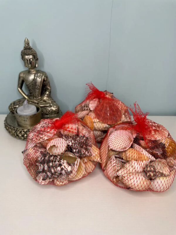 MIXED SEA SHELLS BAG 350G