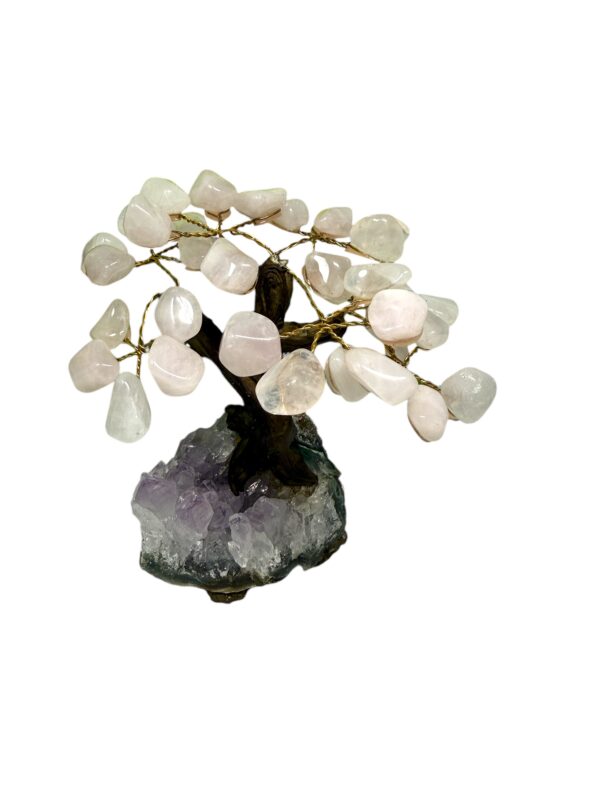 ROSE QUARTZ TREE ON AMETHYST BASE - Image 3